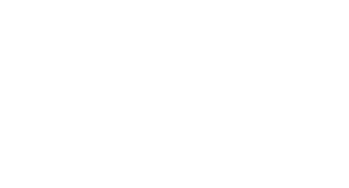 Stork Megaspan PEB construction